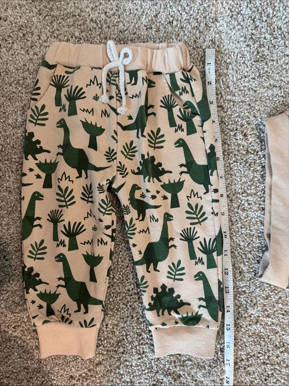 Amazon cozy two